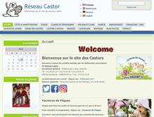 Tablet Screenshot of castor.be